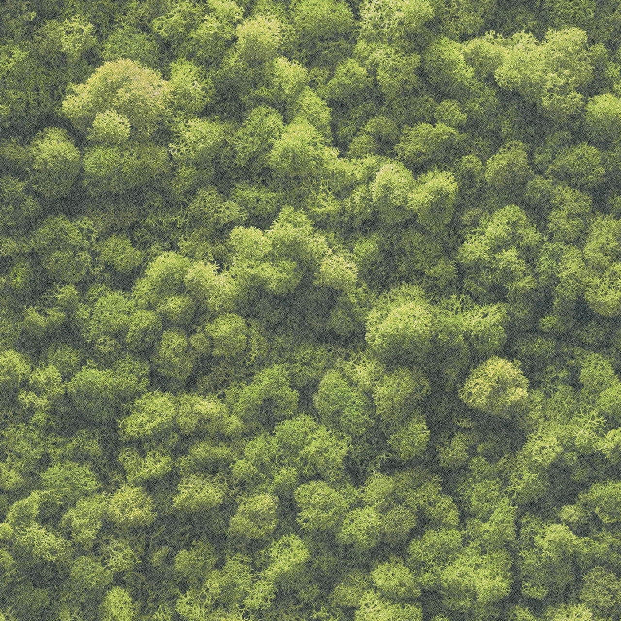 39405-1 PintWalls II Wallpaper by A S Creation