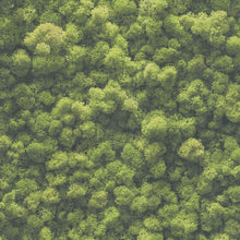 39405-1 PintWalls II Wallpaper by A S Creation