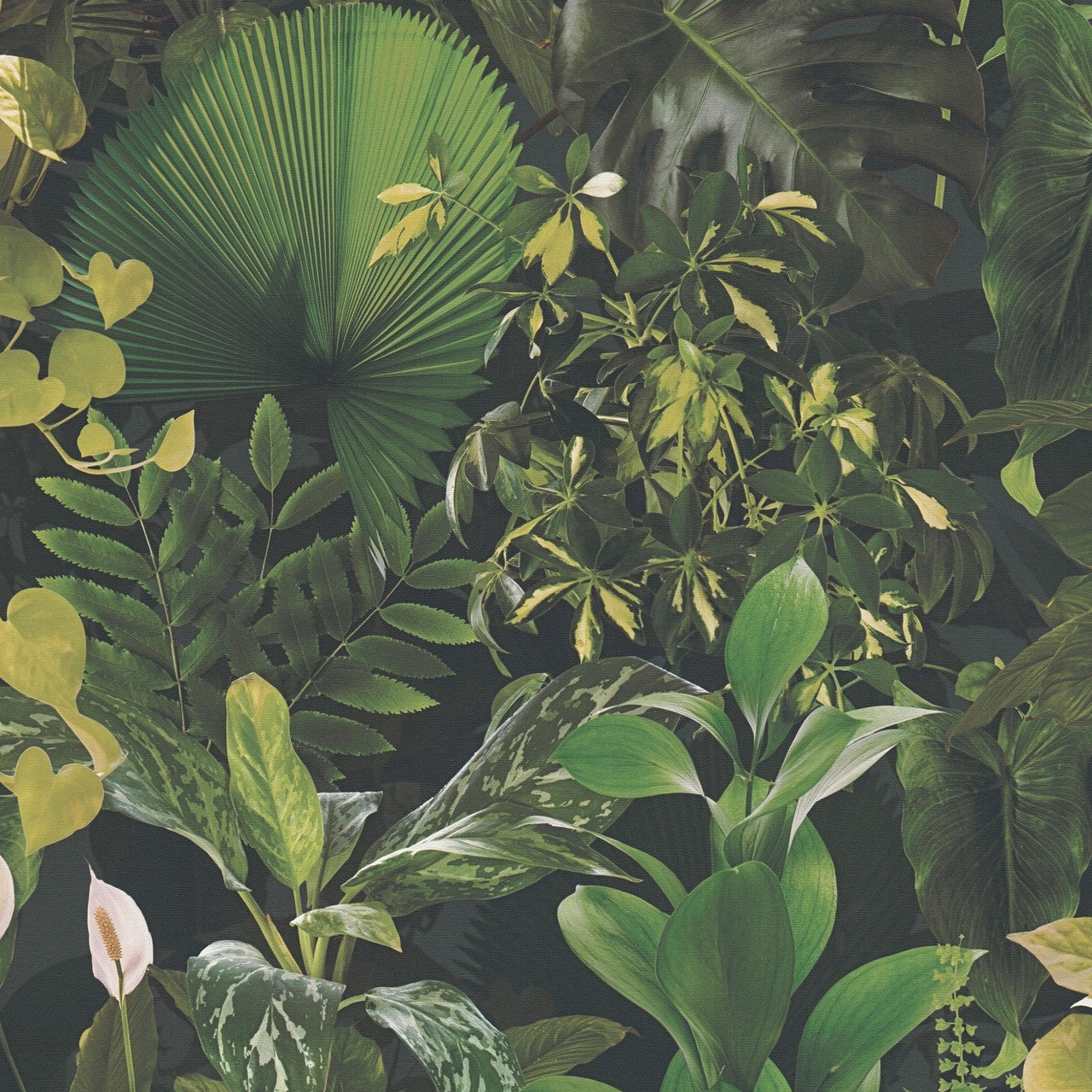 39698-1 PintWalls II Wallpaper by A S Creation