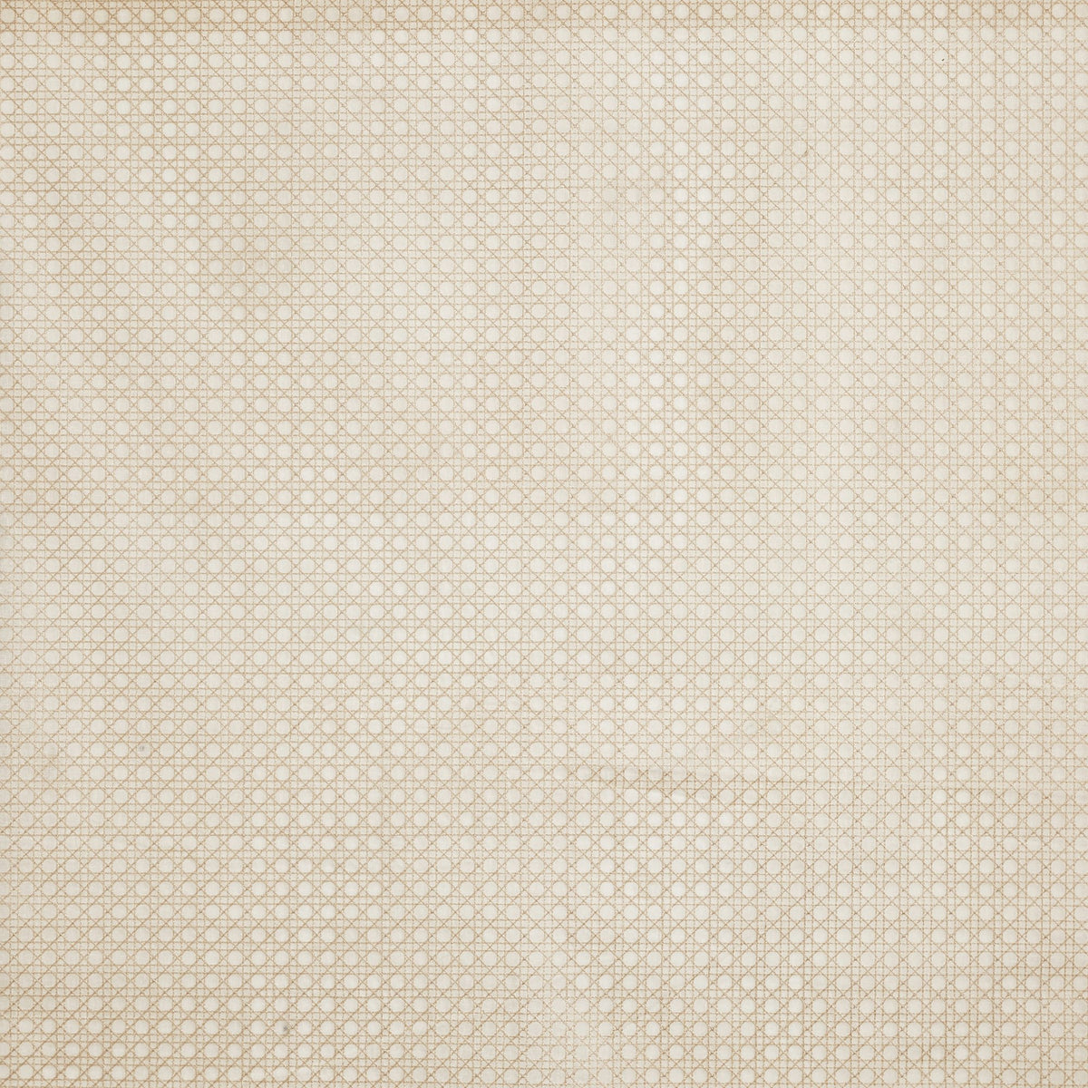 4190/156 Symmetry Husk Minimalist Fabric by Prestigious Textiles
