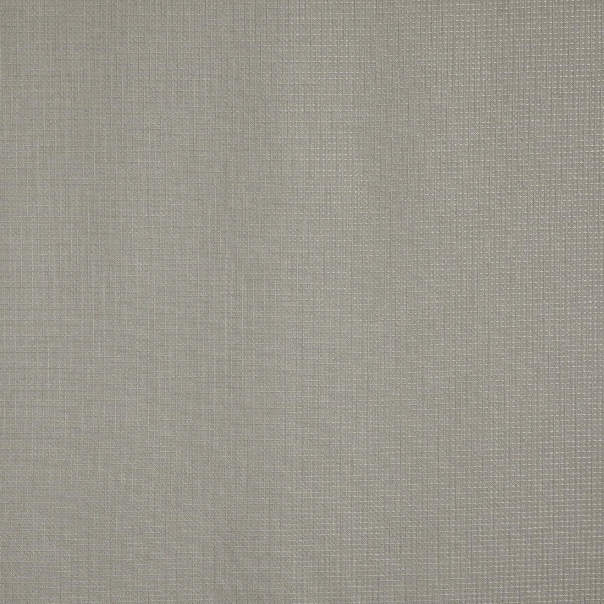 4192/014 Caro Fossil Minimalist Fabric by Prestigious Textiles