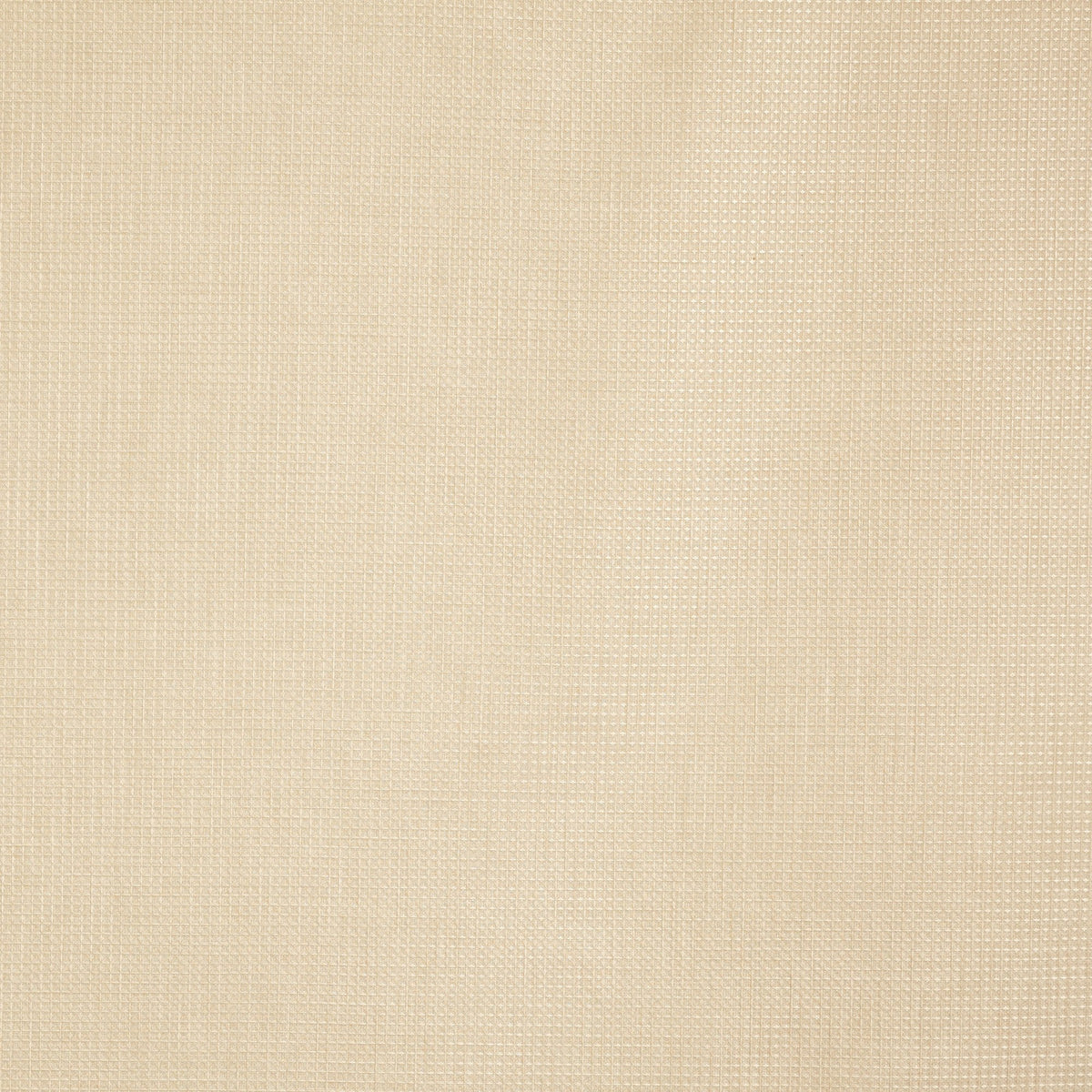 4192/504 Caro Sand Minimalist Fabric by Prestigious Textiles