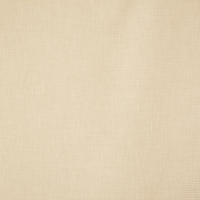 4192/504 Caro Sand Minimalist Fabric by Prestigious Textiles