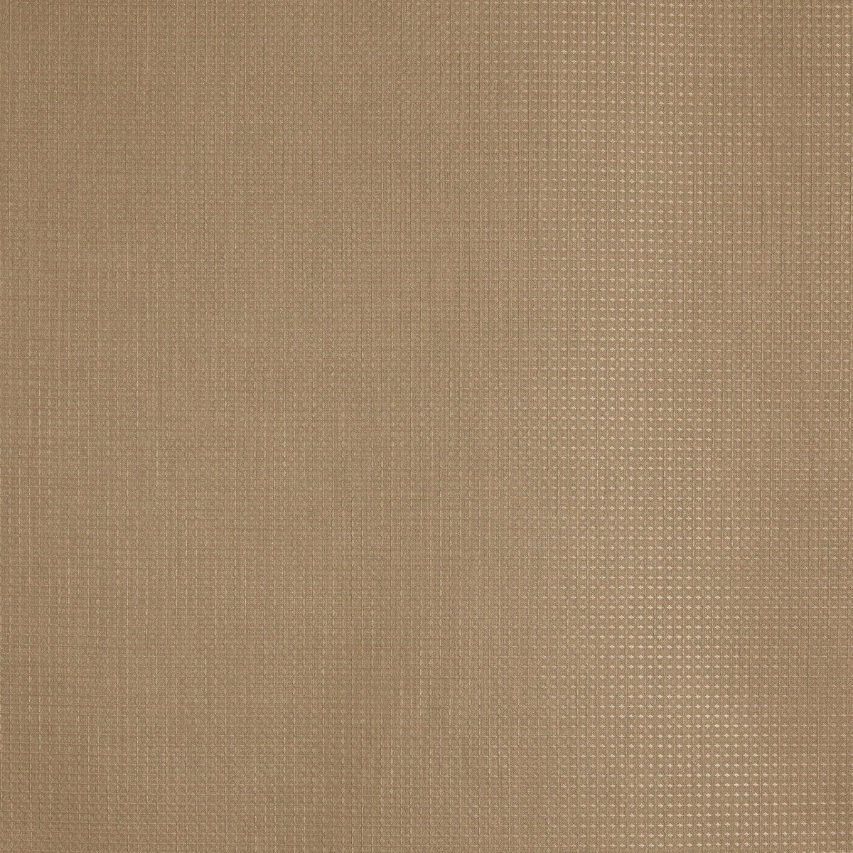 4192/511 Caro Honey Minimalist Fabric by Prestigious Textiles