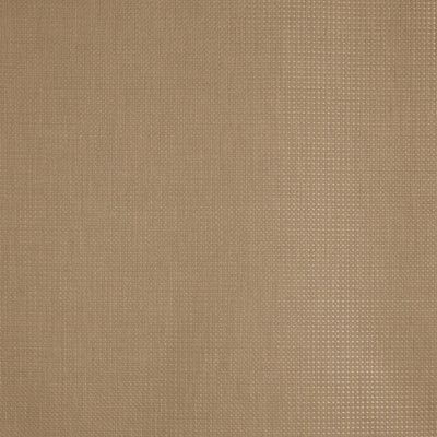 Caro Honey Minimalist Fabric by Prestigious Textiles
