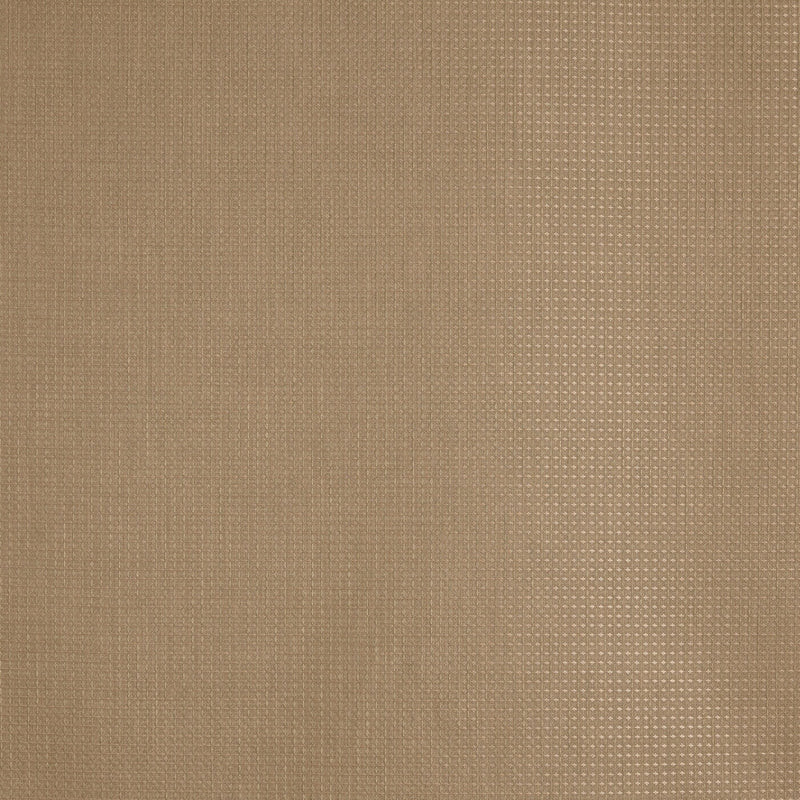 4192/511 Caro Honey Minimalist Fabric by Prestigious Textiles