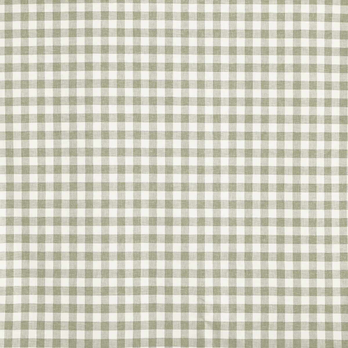 4216/638 Wilson Sage Ashfield Fabric by Prestigious Textiles