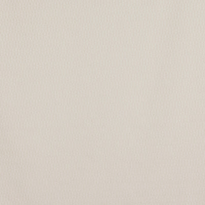 Finsbury Chalk Camden Fabric by Prestigious Textiles