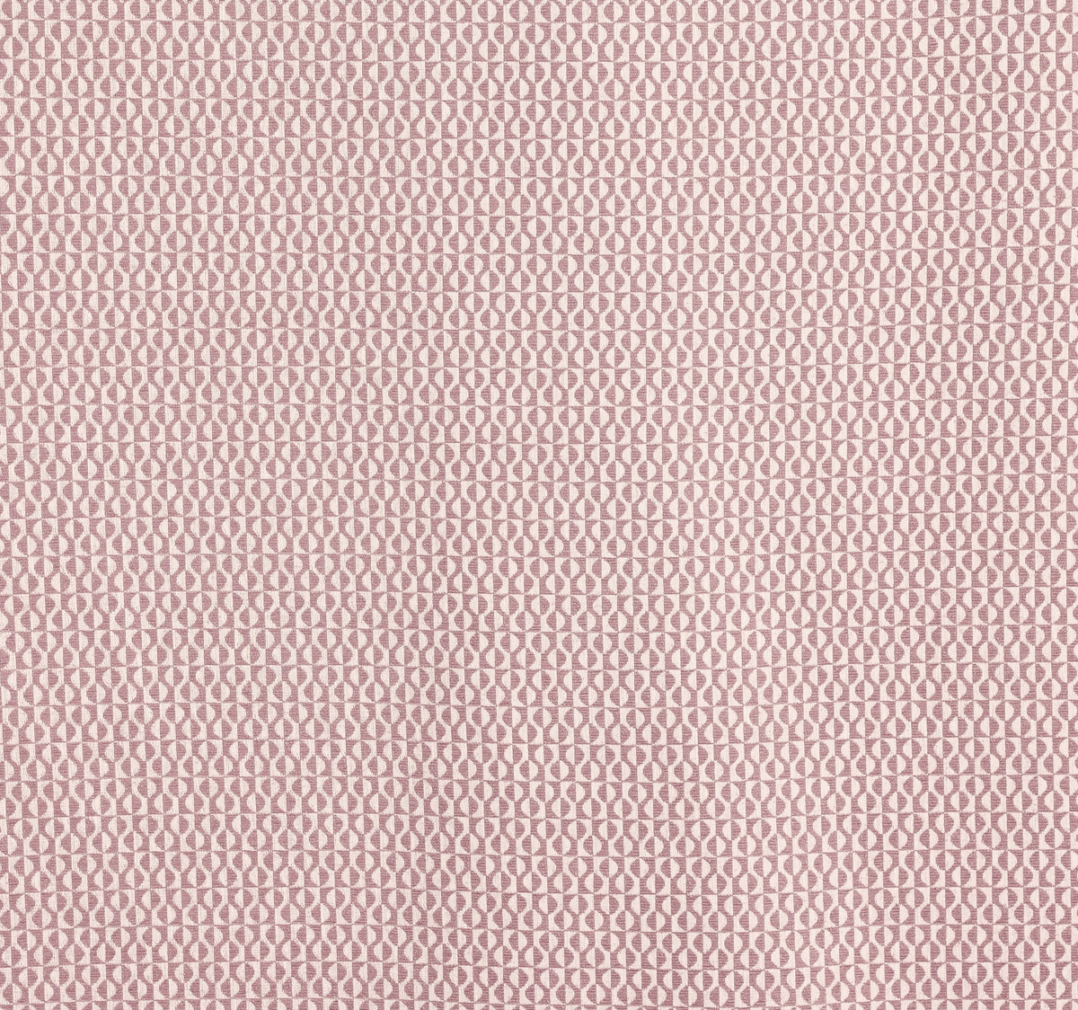 4231/213 Finsbury Petal Camden Fabric by Prestigious Textiles