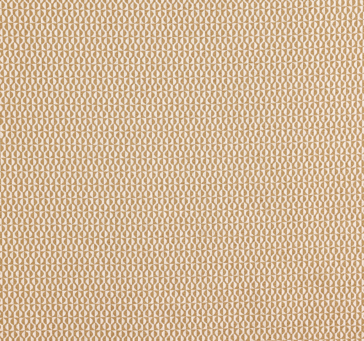 4231/511 Finsbury Honey Camden Fabric by Prestigious Textiles