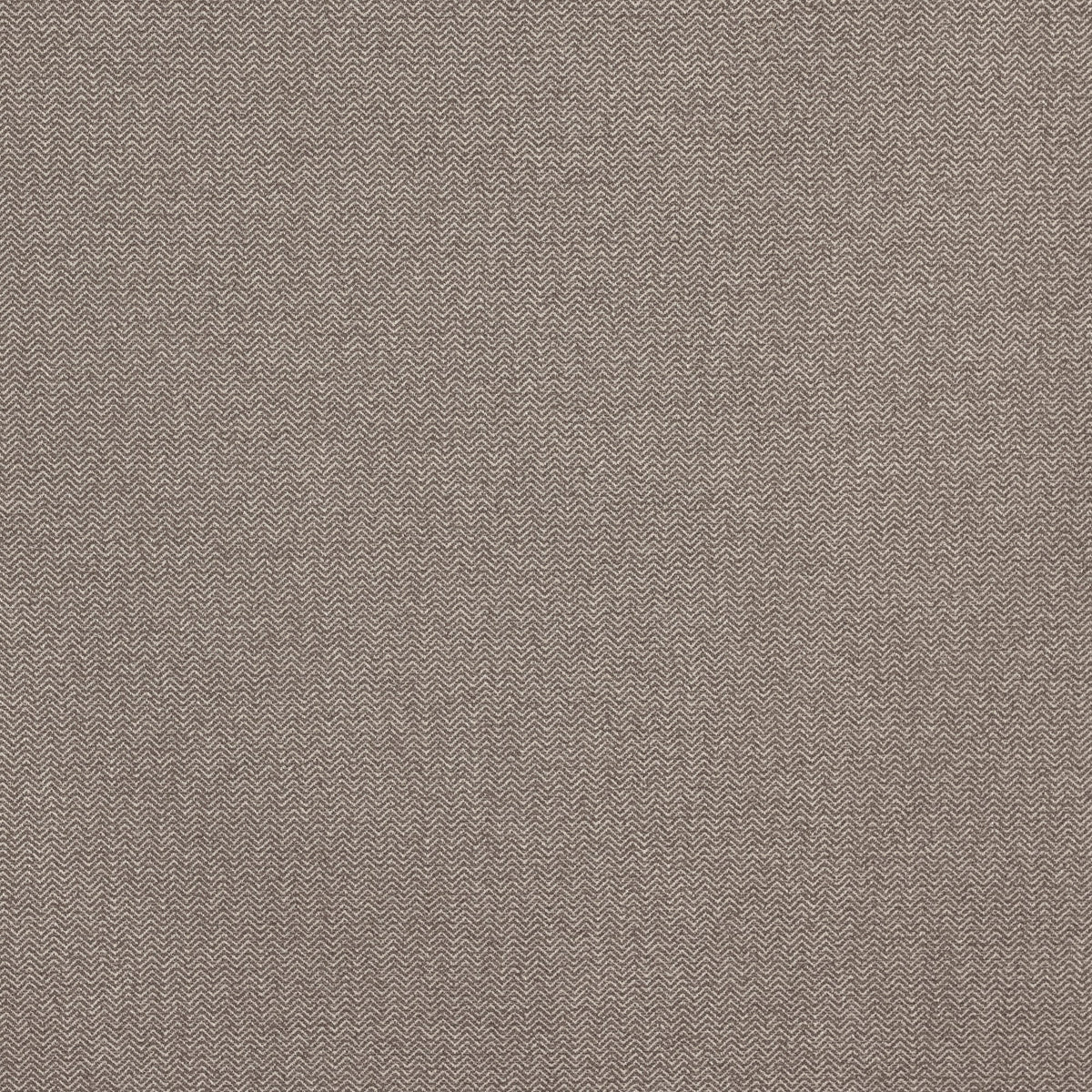 4232/475 Hackney Acorn Camden Fabric by Prestigious Textiles