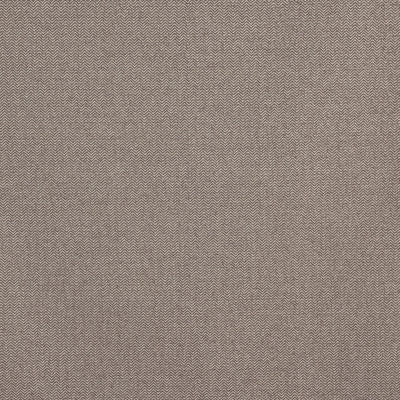Hackney Acorn Camden Fabric by Prestigious Textiles