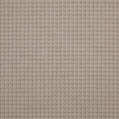 Temika Rattan Tambo Fabric by Prestigious Textiles