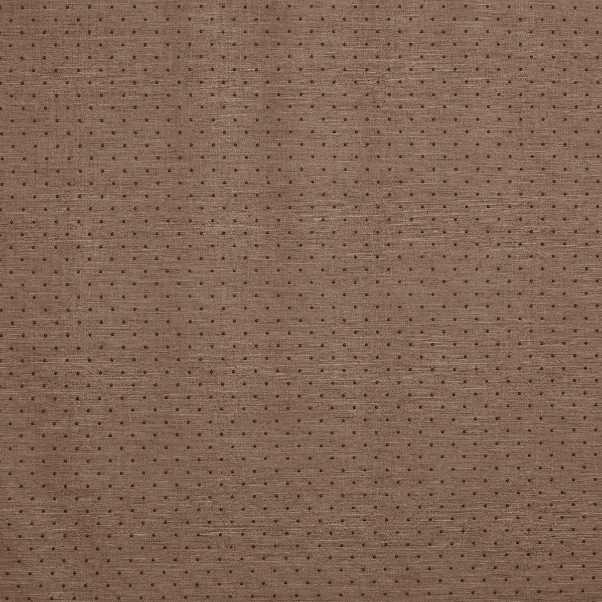 4238/513 Ava Butterscotch Brodie Fabric by Prestigious Textiles