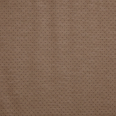 Ava Butterscotch Brodie Fabric by Prestigious Textiles