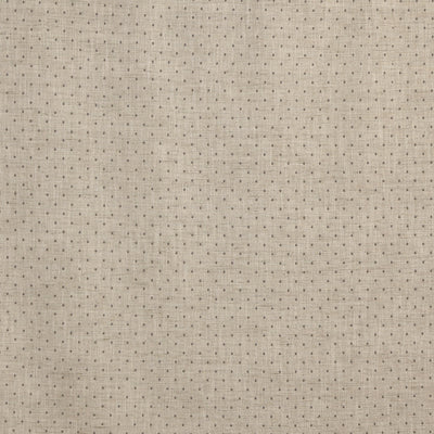 Ava Mist Brodie Fabric by Prestigious Textiles