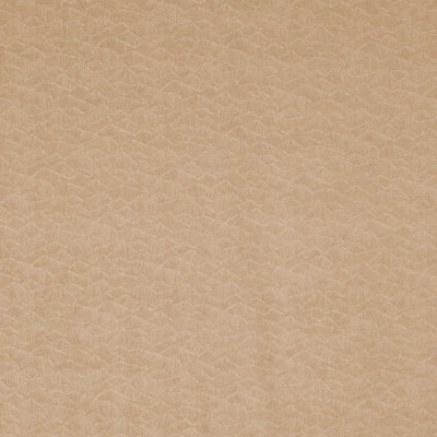 Dara Earth Brodie Fabric by Prestigious Textiles