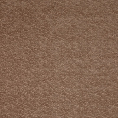 Dara Butterscotch Brodie Fabric by Prestigious Textiles