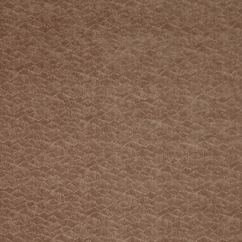 4241/513 Dara Butterscotch Brodie Fabric by Prestigious Textiles
