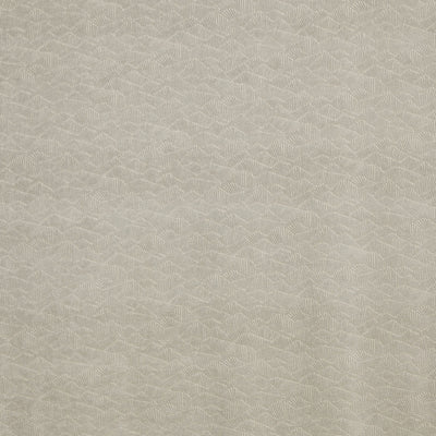 Dara Mist Brodie Fabric by Prestigious Textiles