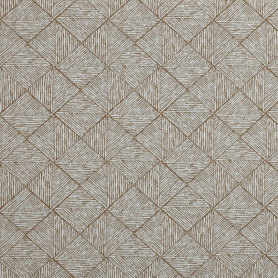 Kaden Butterscotch Brodie Fabric by Prestigious Textiles