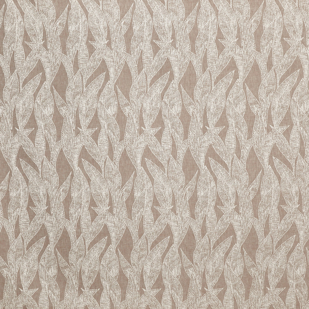 4270/147 Dali Mocha Formation Fabric by Prestigious Textiles