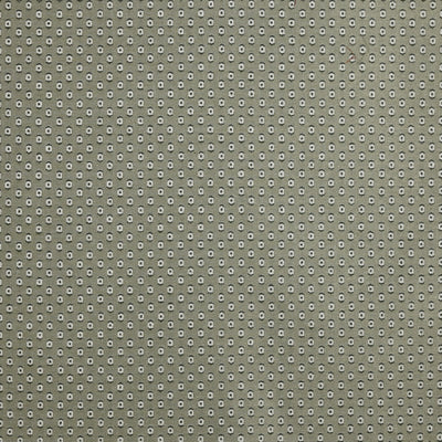 Donata Olive Tuscany Fabric by Prestigious Textiles