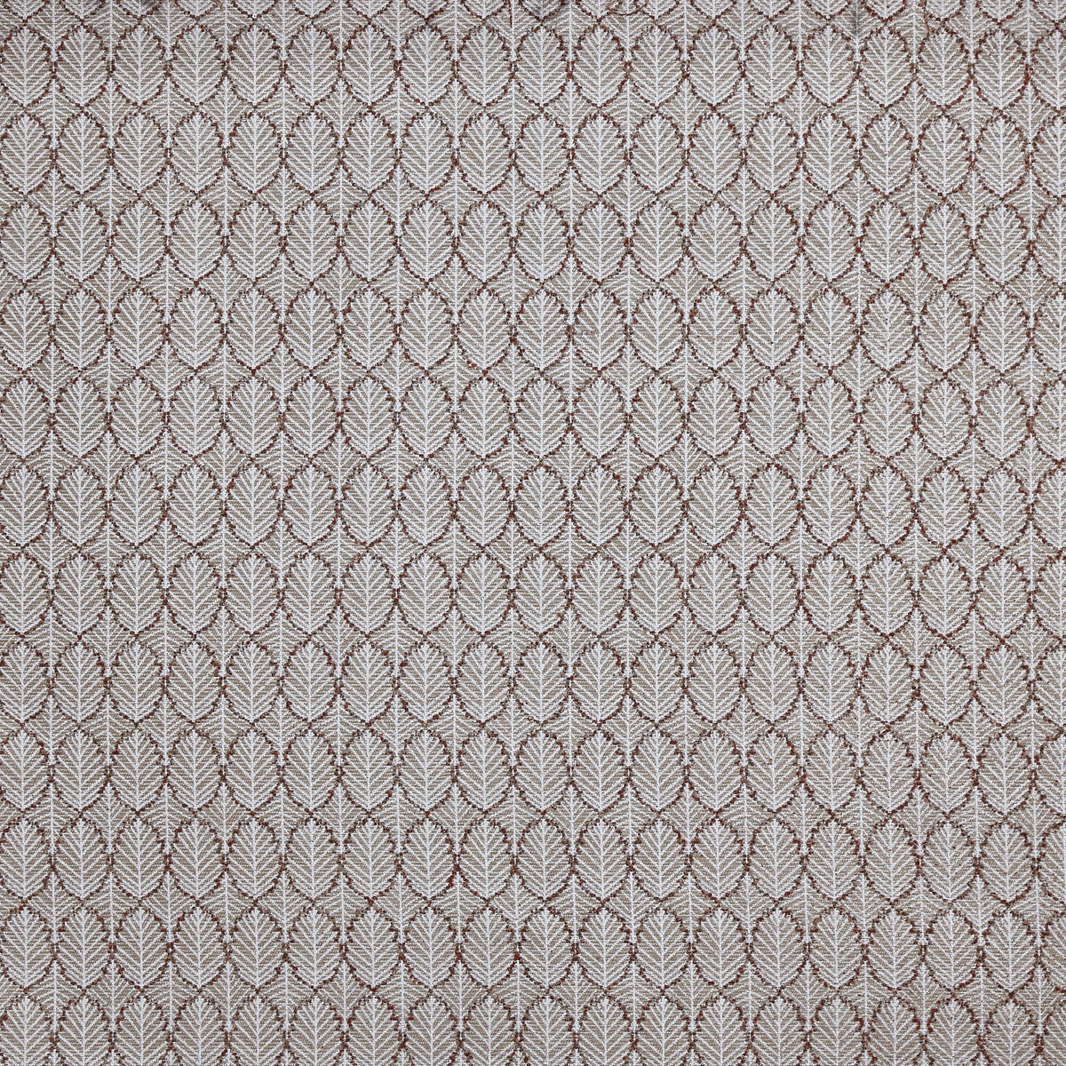 4323/123 Hickory Autumn Cottage Charm Fabric by Prestigious Textiles