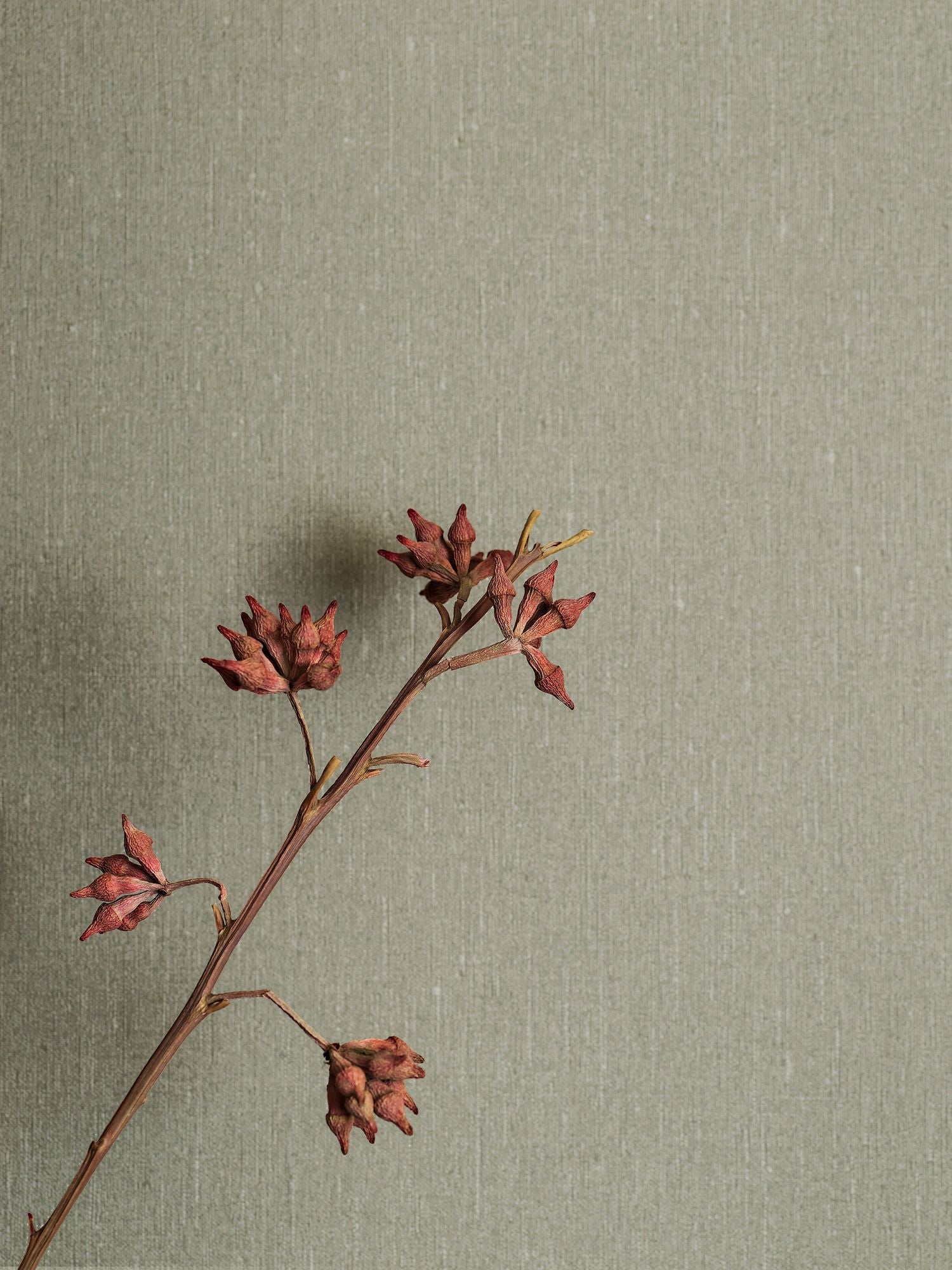 4335 Soft Olive Linen Wallpaper by Boråstapeter