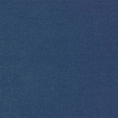 Plush Velvet Prism Plains 2 Blueberry Fabric by Harlequin