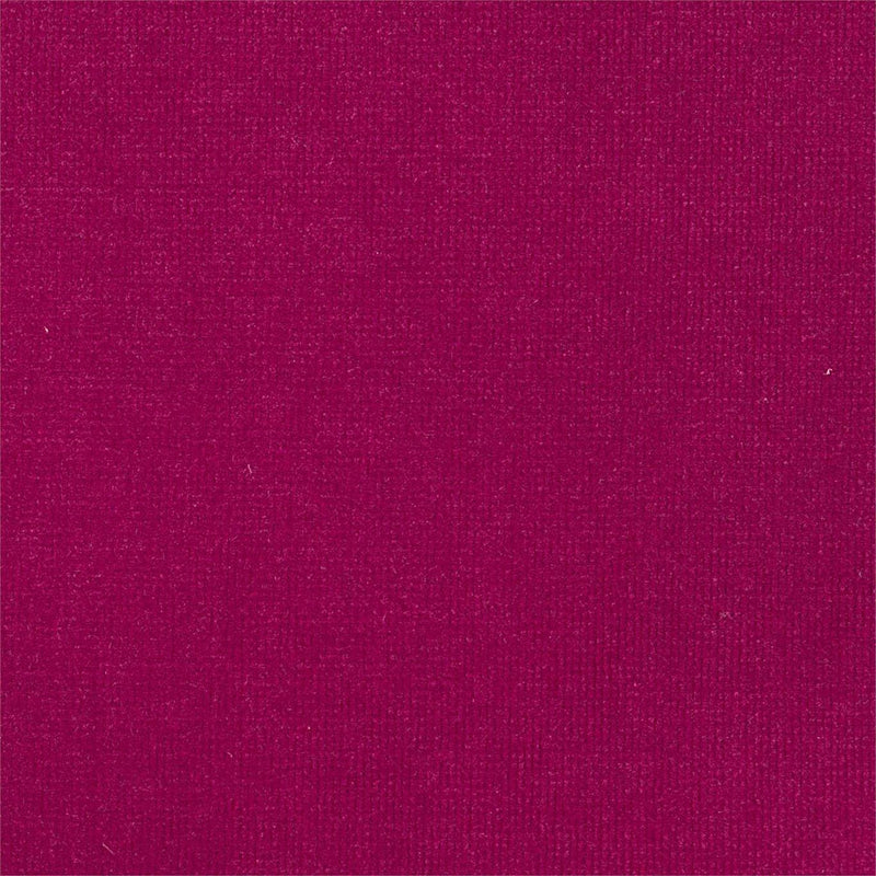 441016 Plush Velvet Prism Plains 2 Tulip Fabric by Harlequin