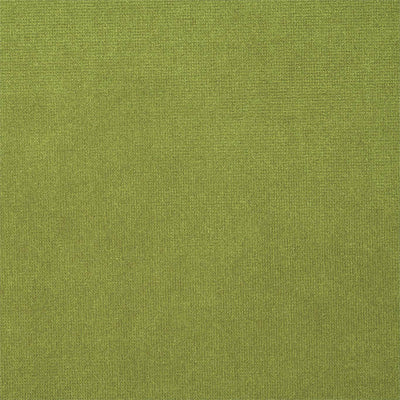 Plush Velvet Prism Plains 2 Cactus Fabric by Harlequin
