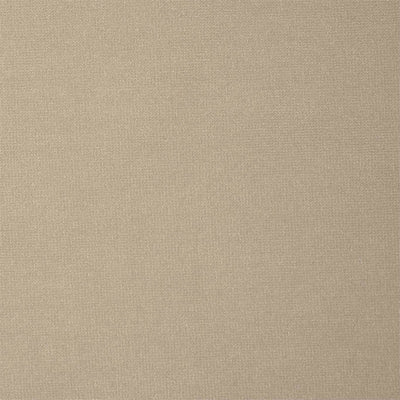 Plush Velvet Prism Plains 2 Driftwood Fabric by Harlequin