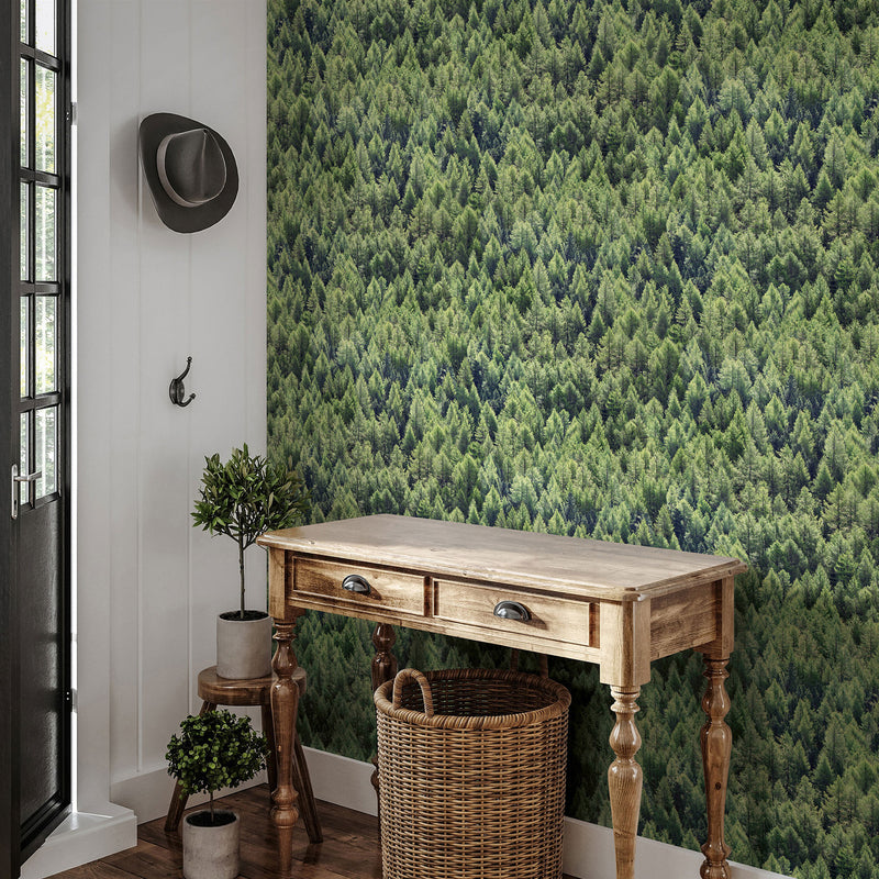 45730 The Woods and Wicker Green Wallpaper By Galerie