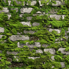 45731 Stone Optic Bricks and More Green Wallpaper By Galerie