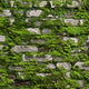 Stone Optic Bricks and More Green Wallpaper By Galerie