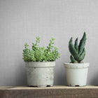 45776 Uni Bricks and More Grey Wallpaper By Galerie