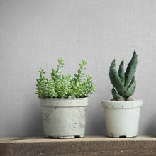 45776 Uni Bricks and More Grey Wallpaper By Galerie