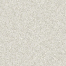 4708 Northern Stone Grey Wallpaper by Boråstapeter