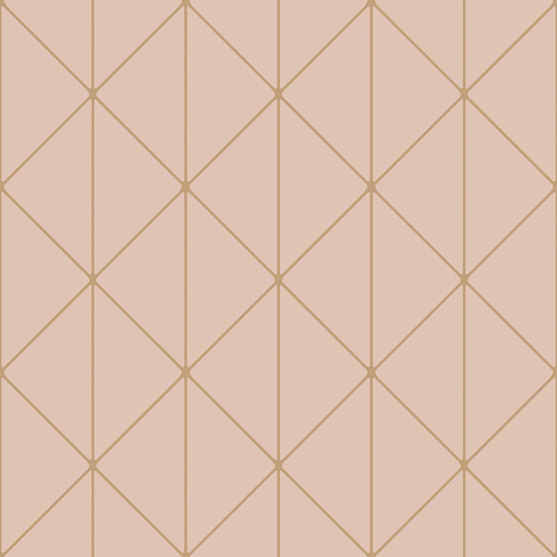 4739 Diamonds Light Pink Graphics Wallpaper by Boråstapeter