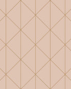 4739 Diamonds Light Pink Graphics Wallpaper by Boråstapeter