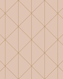 4739 Diamonds Light Pink Graphics Wallpaper by Boråstapeter