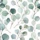 Eucalyptus Flora White and Green Wallpaper By Galerie