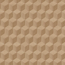 4747 Cube Dark Beige and Brown Graphics Wallpaper by Boråstapeter