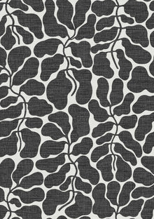 4749 My Secret Garden Black And White Graphics Wallpaper by Boråstapeter