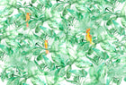 4800074 Find Parrots (418.5 × 270 cm) Lara Costafreda Mural by Coordonné