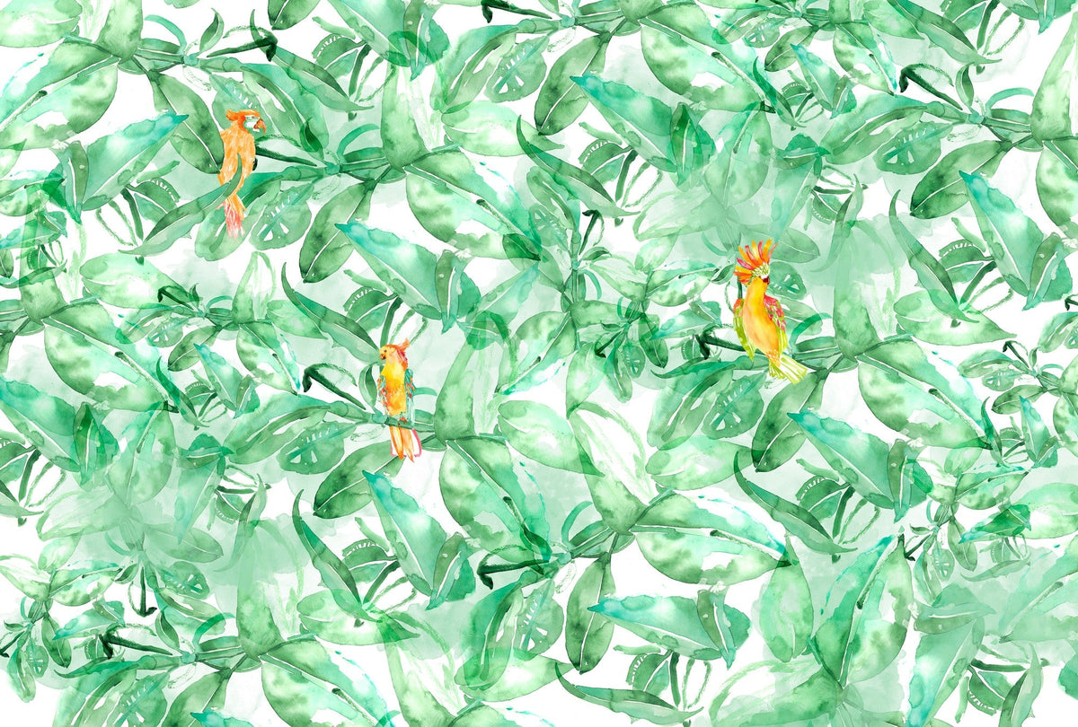 4800074 Find Parrots (418.5 × 270 cm) Lara Costafreda Mural by Coordonné