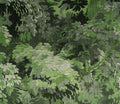 Diore Les Forets Wallpaper By Arte
