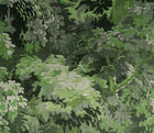 48010 Diore Les Forets Wallpaper By Arte