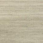 48021 Infini Les Forets Wallpaper By Arte